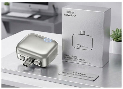 Smart Charger Auto Power Disconnector Guard with Type-C Cable
